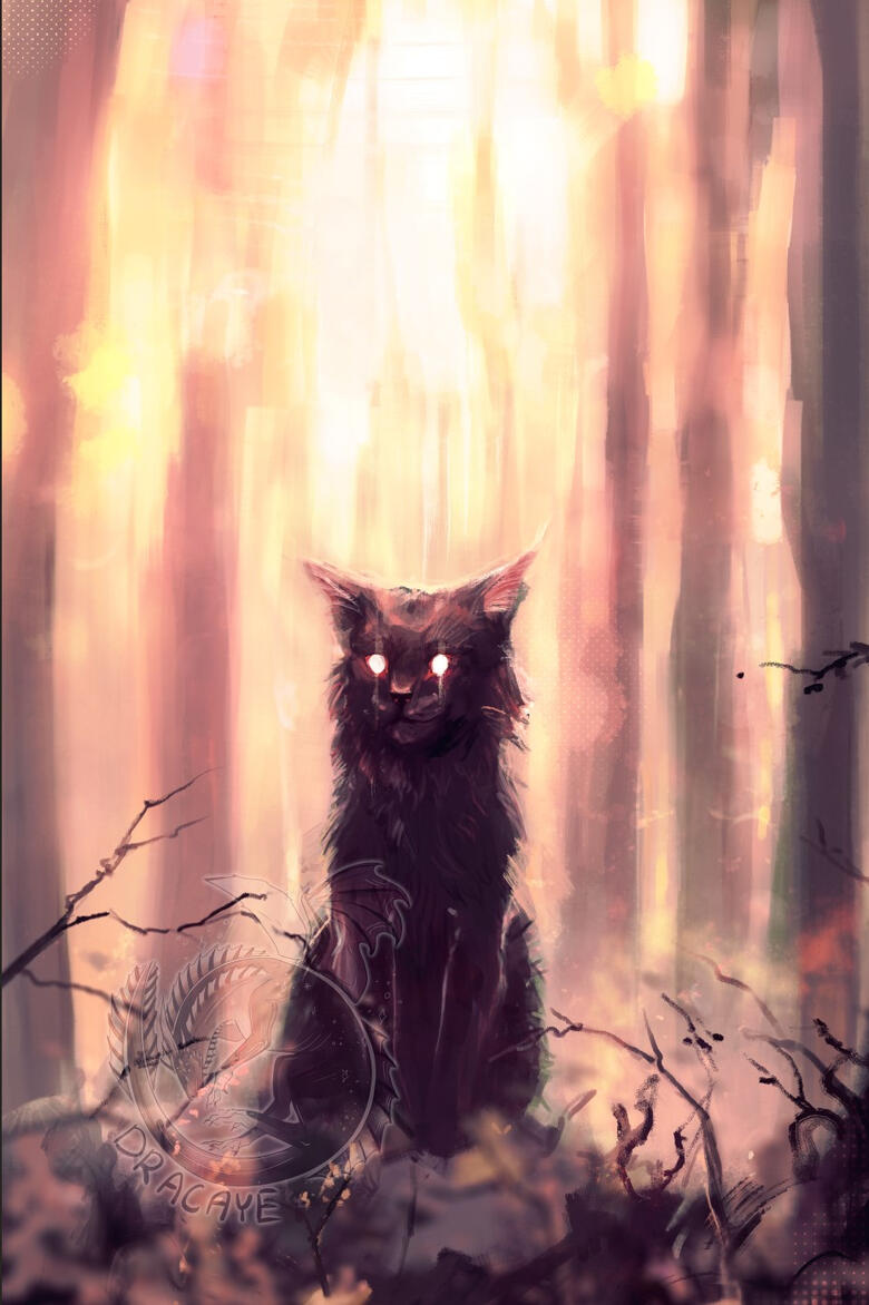 *experimental halfbody*